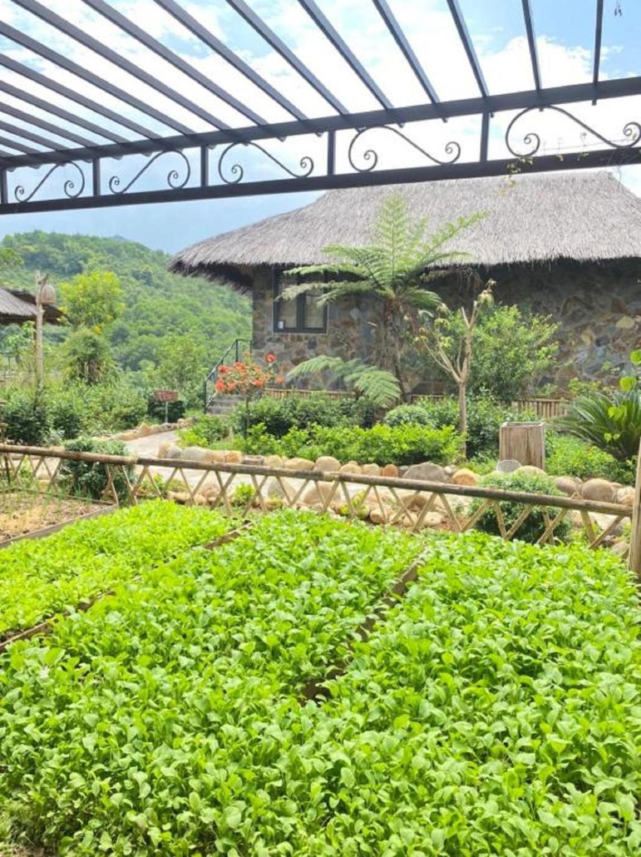 فيلا Muong Lo Retreat Nghia Lo Yen Bai المظهر الخارجي الصورة